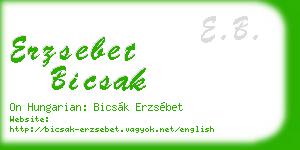 erzsebet bicsak business card